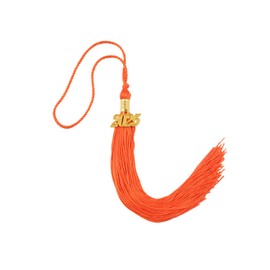 SETRUE Graduation Tassel with 2025 Classic Tassel Accessories for Graduation Ceremonies Ornament (Orange)