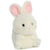 Aurora® Round Rolly Pet™ Bunbun Bunny™ Stuffed Animal - Adorable