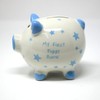 lesser and pavey Coin Bank, White & Blue