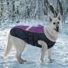 Queenmore Warm Fleece Dog Jacket, Cold Weather Waterproof Snowsuit, Reflective