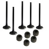 Engine Intake & Exhaust Valve Kit With Stem Seal Fits