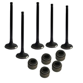 Engine Intake & Exhaust Valve Kit With Stem Seal Fits For Yamaha Grizzly 660,2002~2008, Rhino 660,2004~2007,Raptor 660 2001-2005