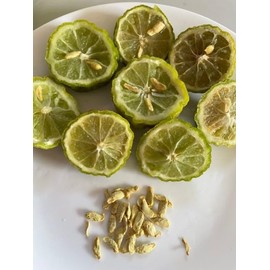 Kaffir Lime Tree Organic 5 Seeds Fresh