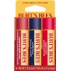 Burt's Bees Winter Wonder Lip Balm Gift Set, Apple Crisp,