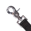 GoGo Pet Products 3/4-Inch Wide Comfy Nylon Dog Leash, 4-Feet