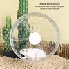 Silent Hamster Wheel with Stand Prevent Slip Clear Acrylic Hamster