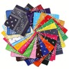 Boolavard 100% Cotton Bandanas with Original Paisley Pattern | Colour
