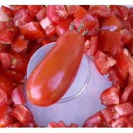 Tomato San Marzano Bulk 3,000 Seeds Great Heirloom Garden Vegetable