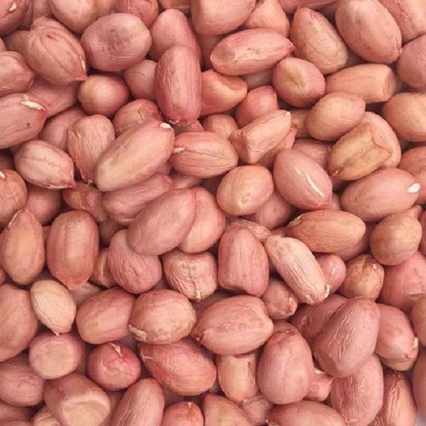 5 LB Bag Raw Spanish Peanuts Unsalted Unroasted,Product of USA