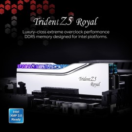 G.SKILL Trident Z5 Royal Series (Intel XMP 3.0) DDR5 RAM 32GB (2x16GB) 6400MT/s CL30-39-39-102 1.40V Desktop Computer Memory UDIMM - Silver (F5-6400J3039G16GX2-TR5S)
