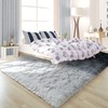 Noahas Fuzzy Rugs for Bedroom,4x6 Tie-Dyed Black and Grey Area