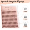 YOONOYA Wispy Cluster Lashes 144 Pcs 10-12mm Mix Natural Individual