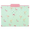 Graphique Flamingo Pink File Folder Set – File Set Includes