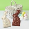 Chocolate Easter Candy Bunny 2 Pack. Set Includes 1 Milk