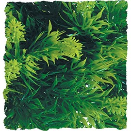 Zoo Med Laboratories SZMBU23 Natural Bushy Malaysian Fern, Medium