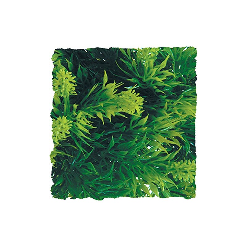 Zoo Med Laboratories SZMBU23 Natural Bushy Malaysian Fern, Medium