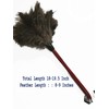 18" Feather Duster Wooden Handle | Natural for Cleaning and