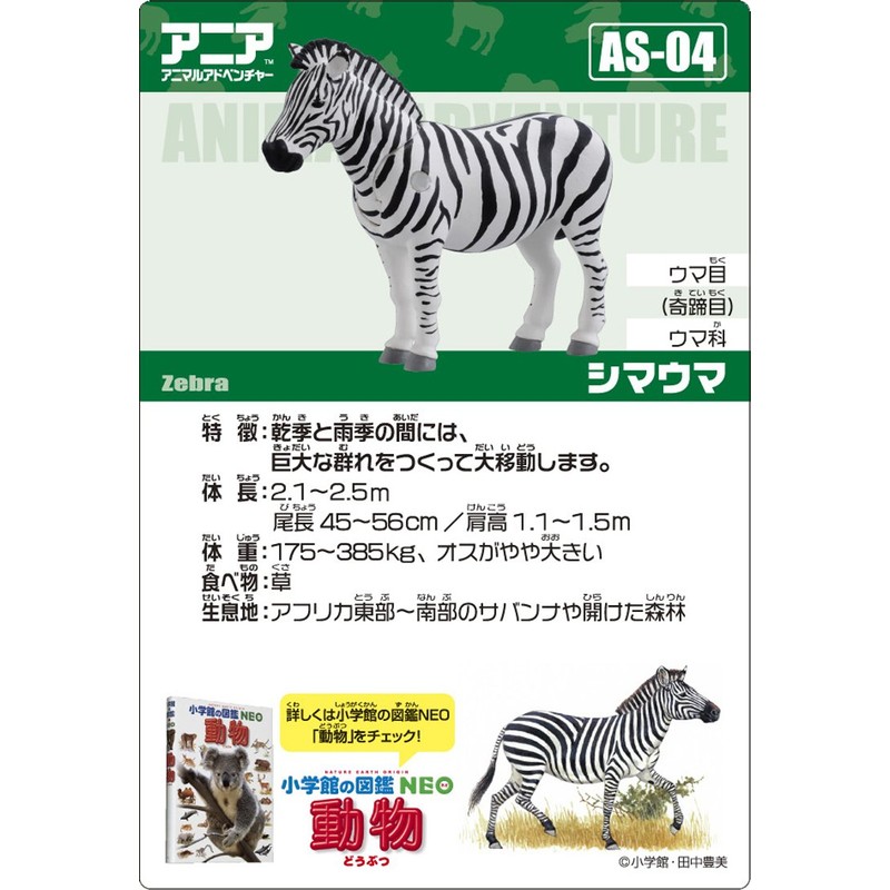 Ania AS-04 Zebra (Zoo)