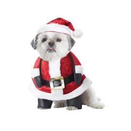 Santa Pup Dog Costume Small
