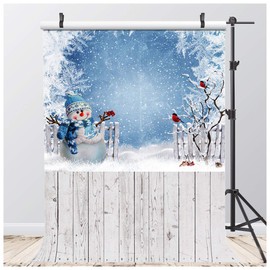 AIIKES 5x7ft Winter Backdrops for Photography Winter Snowflake Backdrop Christmas Snowman Photo Backdrops Baby Shower Newborn Photo Background Winter Vinyl Photo Booth Props 11-787