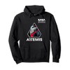 NASA Artemis II Mission Patch Worm Logo Pullover Hoodie