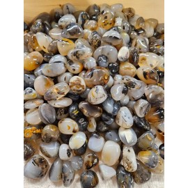 1lb-Polished A Grade Dendritic Agates from Marolambo, Madagascar