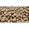 Macadamia Nuts - In shell (whole) (2 LB)