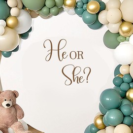 He Or She? Wall Decal - Gender Reveal Girl Or Boy Baby Shower Decal Sign, Birthday, Welcome Baby Baptism Party Supplies, Photobooth Backdrop