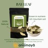 Bay Leaves for Cooking | Indian Bay Leaf by Anamaya