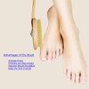 Quiet&Far 3 Pack Wood Dry Body Brushes, Shower Brush Wet,Dry