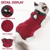 cobee Cat Professional Recovery Suit for Abdominal Wounds or Skin