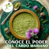 Xenivalle Té Cardo Mariano En Polvo 500g