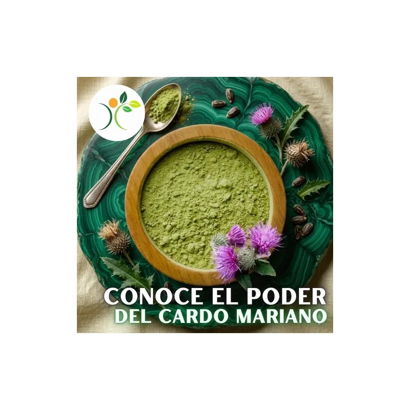 Xenivalle Té Cardo Mariano En Polvo 500g
