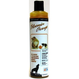 Wild Animal Bloomin Orange Pet Shampoo 12oz KE800912