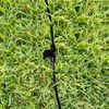 10 Pack Quick Connect 1/4" Drip Irrigation Shut Off Valve,