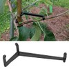 Branch Spreaders, Pack of 20 Fruit Branch Spreaders, Pressure-Resistant Plastic