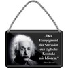 WOGEKA ART Retro Blechschild - Albert Einstein Hauptgrund für Stress