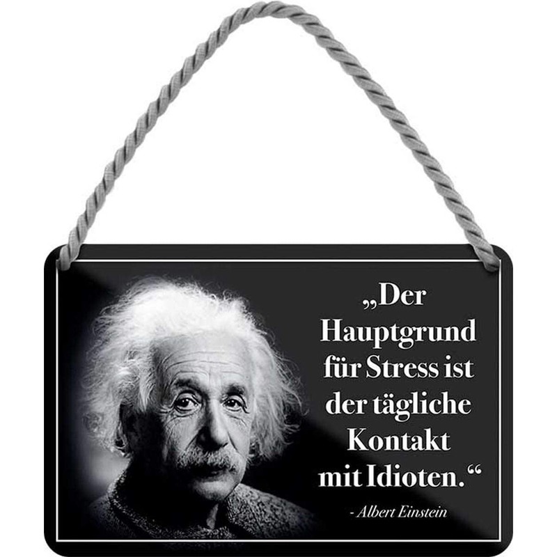 WOGEKA ART Retro Blechschild - Albert Einstein Hauptgrund für Stress