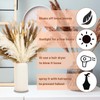70 Pcs Pampas Grass Decor, Artificial Dried Flowers for Vase,