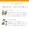 enherb Decaffeinated Herbal Tea Bags "When you want to moisten
