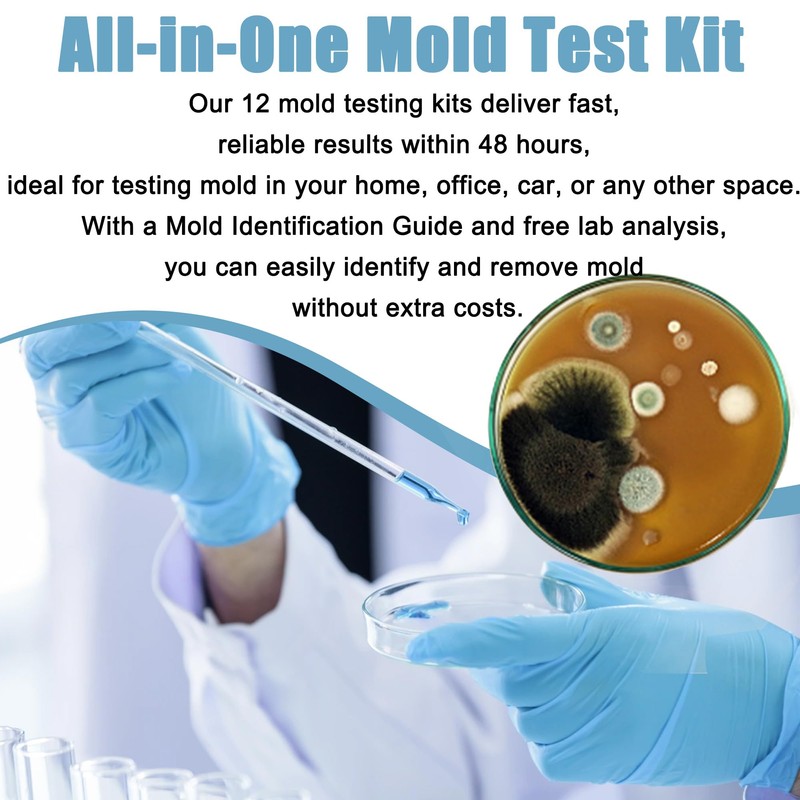 Mold Test Kit for Home 12 Simple Detection Tests, HVAC