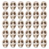 CHGCRAFT 30 Pcs Skull Flat Back Cabochon Charms Flatback Skull
