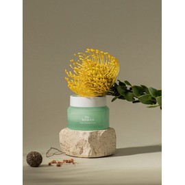 Dr. Trien Core Tension Cream 50ml / 닥터트리엔 코어텐션 크림 50ml