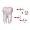 Ajona Stomaticum Toothpaste 25ml (Pack of 3), Prevents Tooth Decay,