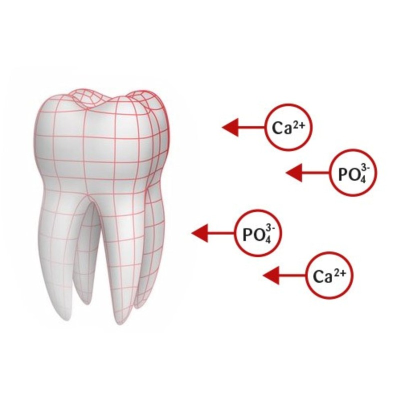Ajona Stomaticum Toothpaste 25ml (Pack of 3), Prevents Tooth Decay,