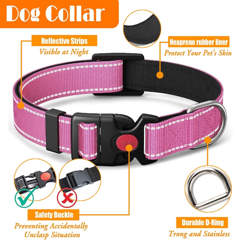 LOBEVE No Pull Dog Harness, Collar & Leash Set |