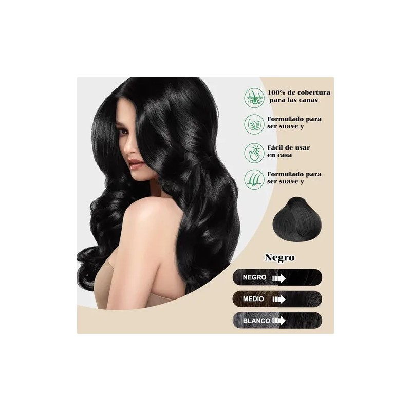 Shampoo Para Canas 500ml Natural Jengibre Tinte Cubre Canas