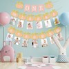 Pumpkin First Birthday Girl 12 Month Photo Banner for First