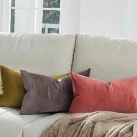 QUAFOO Coral Decorative Lumbar Velvet Throw Pillow Covers 12x20 inch Set of 2 with Zipper Luxury Soft Solid Rectangle Cushion Covers Case for Sofa Couch Bed Living Room, GuangBan-30x50-Coral