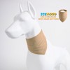 ICEMOOD Solid Color Dog Scarf - Adjustable Snap Button Cotton